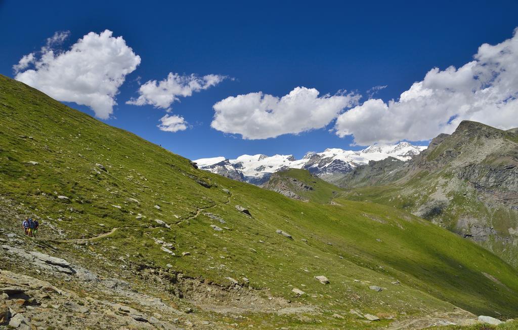 Le Coin Des Melezes - Nature & Trek - Camere In Baita Di Montagna บรุสซอน ภายนอก รูปภาพ