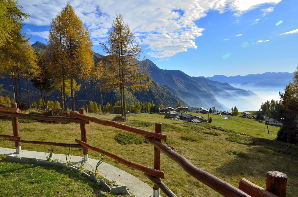 Le Coin Des Melezes - Nature & Trek - Camere In Baita Di Montagna บรุสซอน ภายนอก รูปภาพ