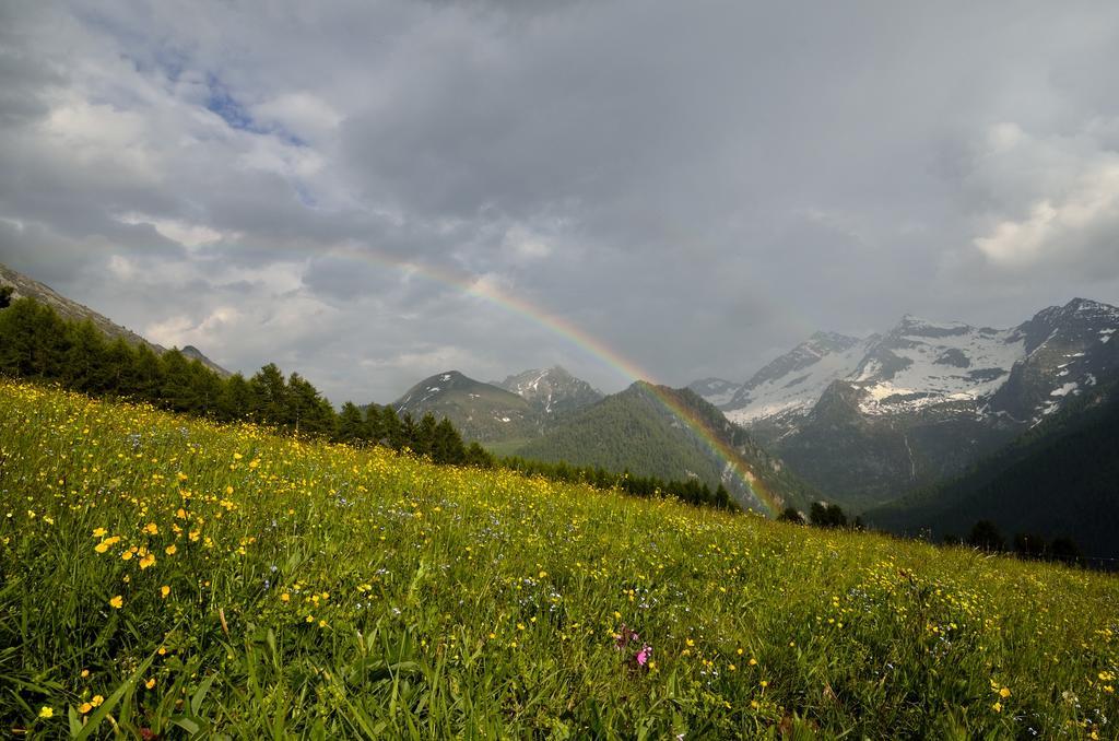 Le Coin Des Melezes - Nature & Trek - Camere In Baita Di Montagna บรุสซอน ภายนอก รูปภาพ