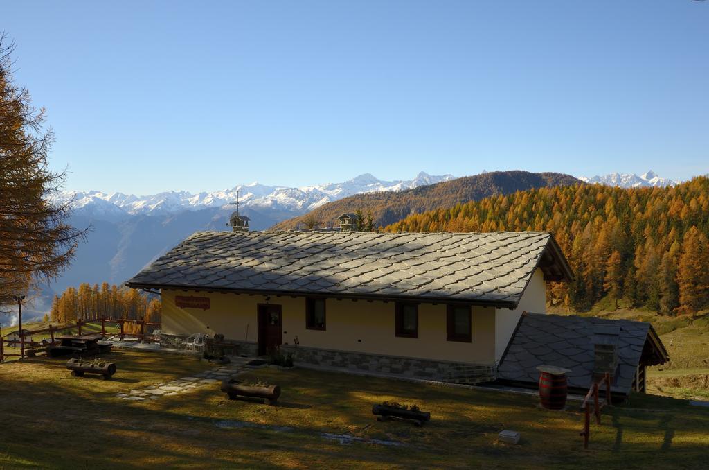 Le Coin Des Melezes - Nature & Trek - Camere In Baita Di Montagna บรุสซอน ภายนอก รูปภาพ