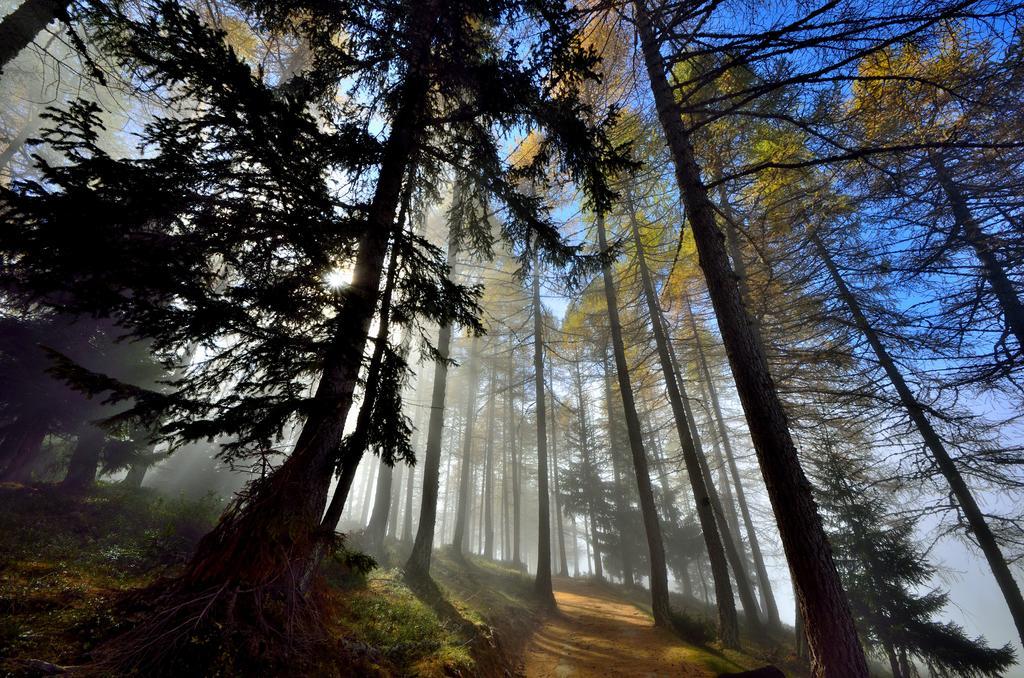 Le Coin Des Melezes - Nature & Trek - Camere In Baita Di Montagna บรุสซอน ภายนอก รูปภาพ