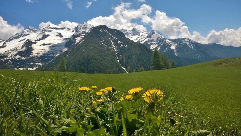 Le Coin Des Melezes - Nature & Trek - Camere In Baita Di Montagna บรุสซอน ภายนอก รูปภาพ